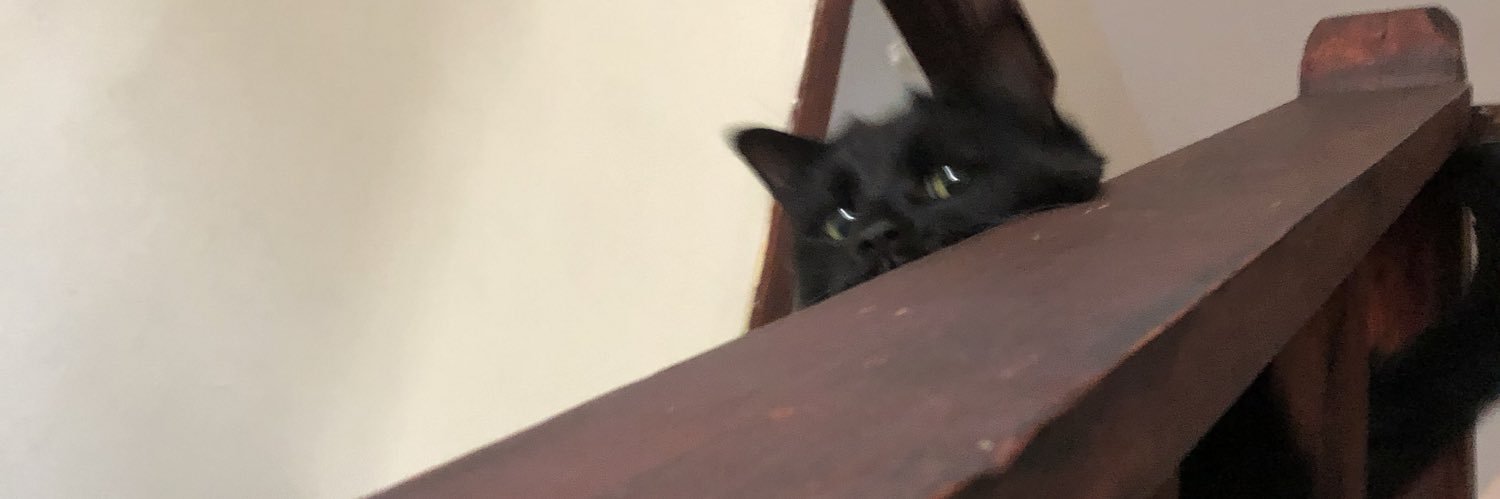 edgarallan_mo's profile banner image