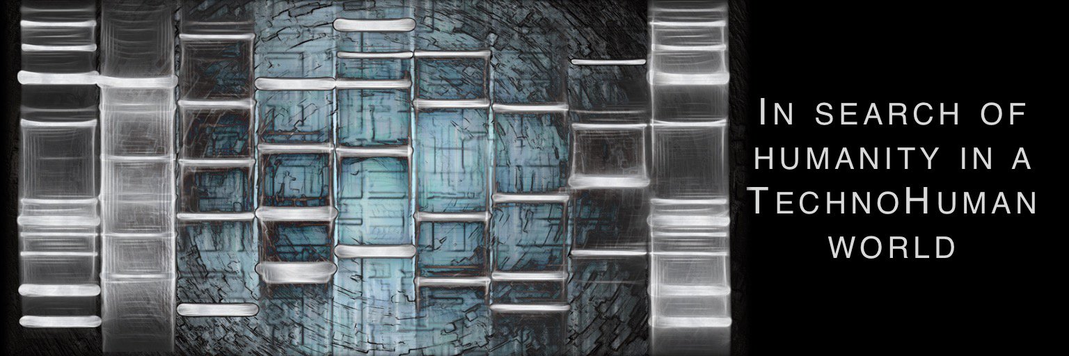 ericanctil's profile banner image