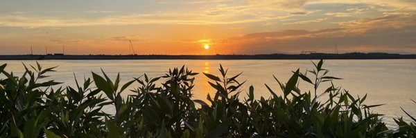 phygitalname Profile Banner