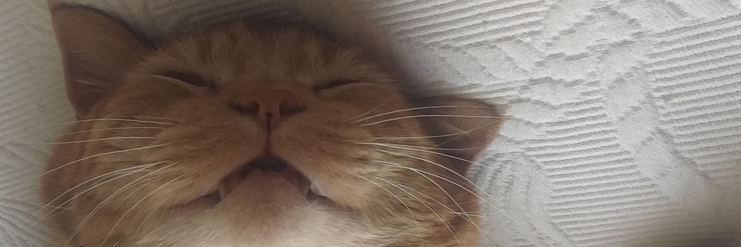 ReinaldoM72's profile banner image