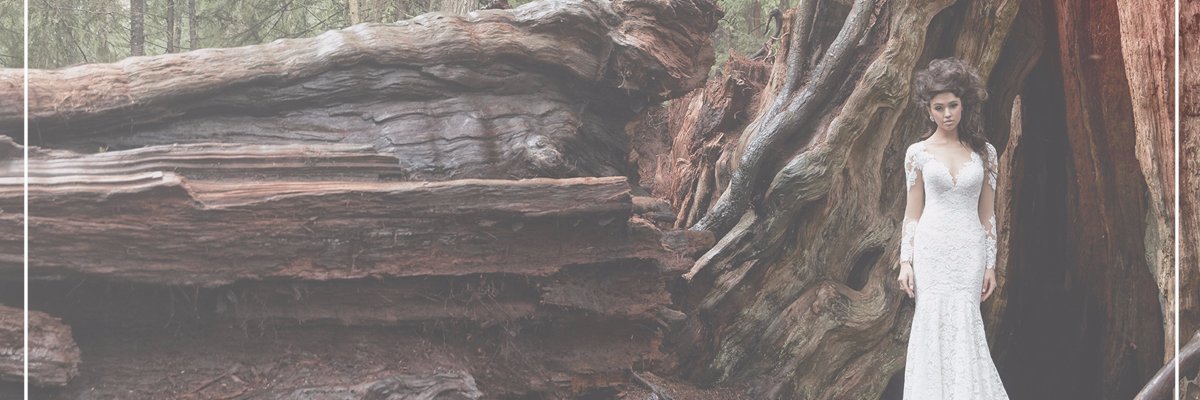 OffWhite Bride banner