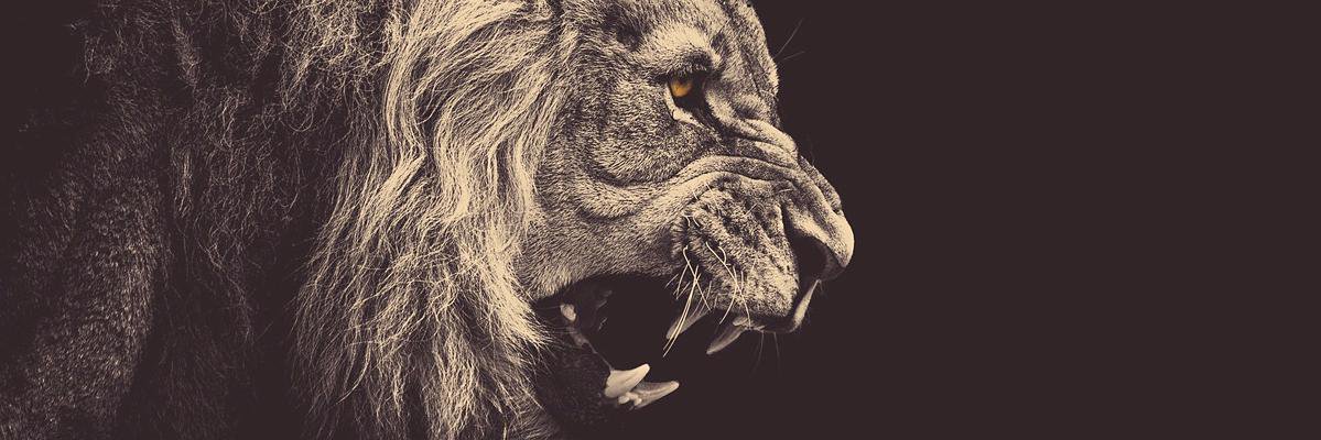 WilmerIvanM's profile banner image