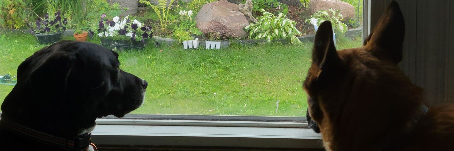 Mimi Williams (she/her) banner