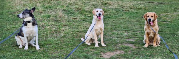 BillinAlice Profile Banner