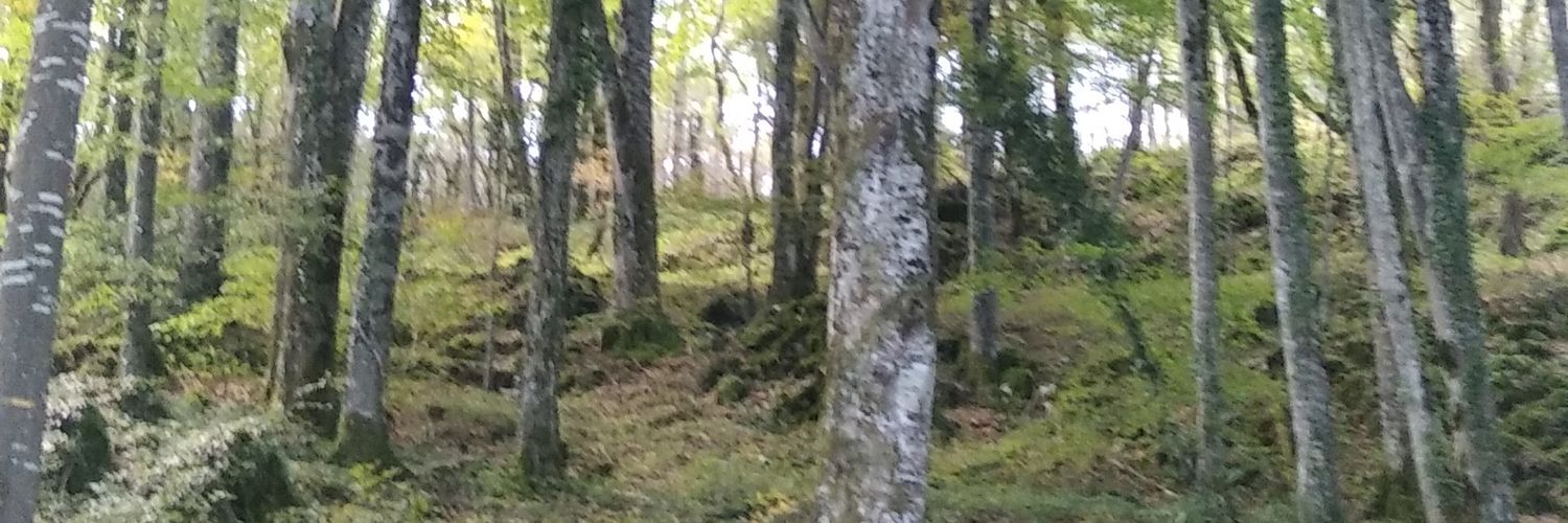 IsernXavier's profile banner image