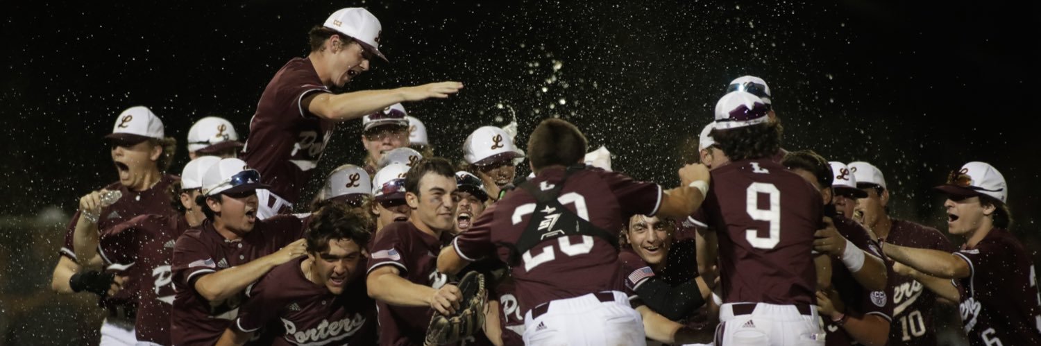 Lockport Porter Baseball banner