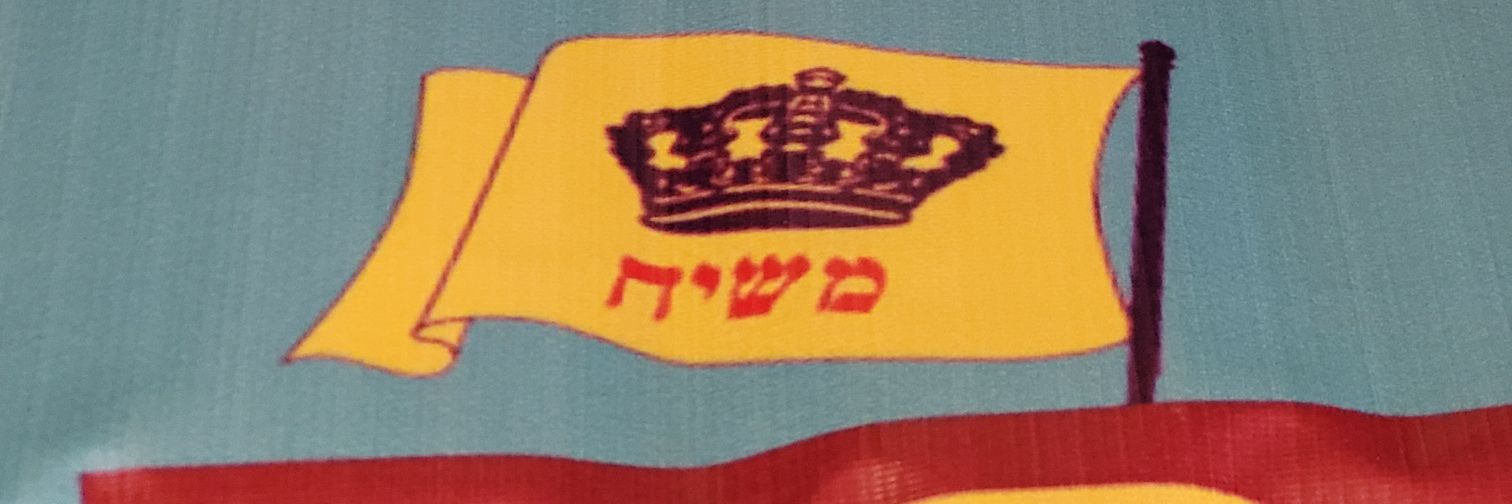 שרה לוי's banner