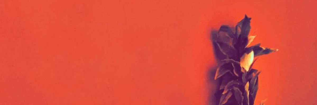 oyonabha's profile banner image