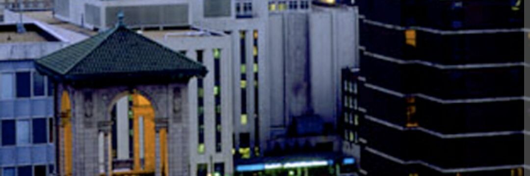 PavidDagan's profile banner image