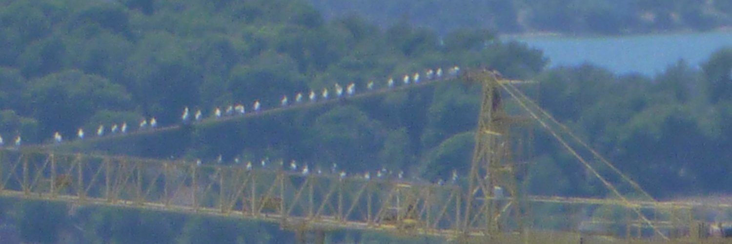 IndelibleHealth banner