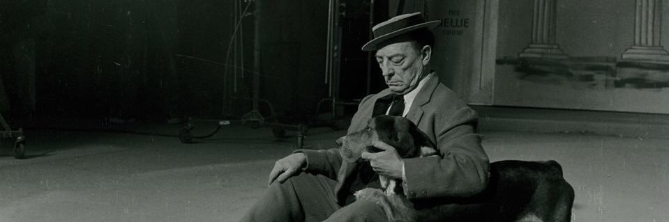 TheScribeFiles's profile banner image
