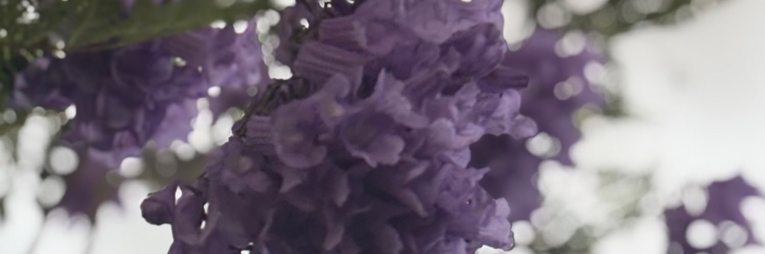 ref1al's profile banner image