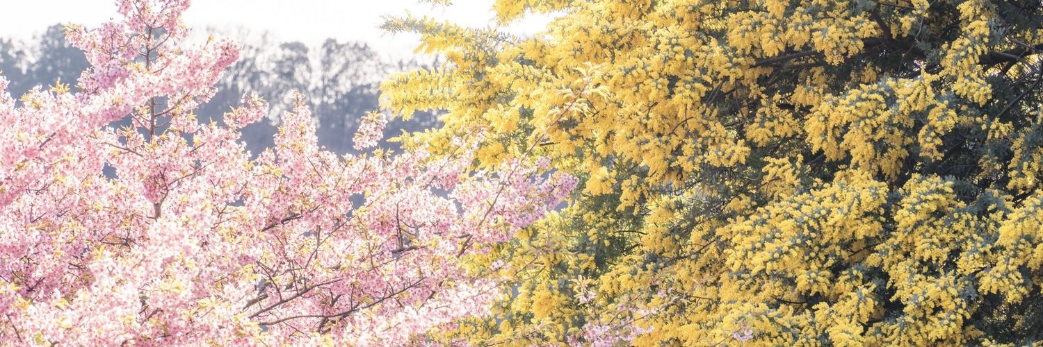 PierrotFake's profile banner image