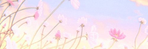soniayonce's profile banner image