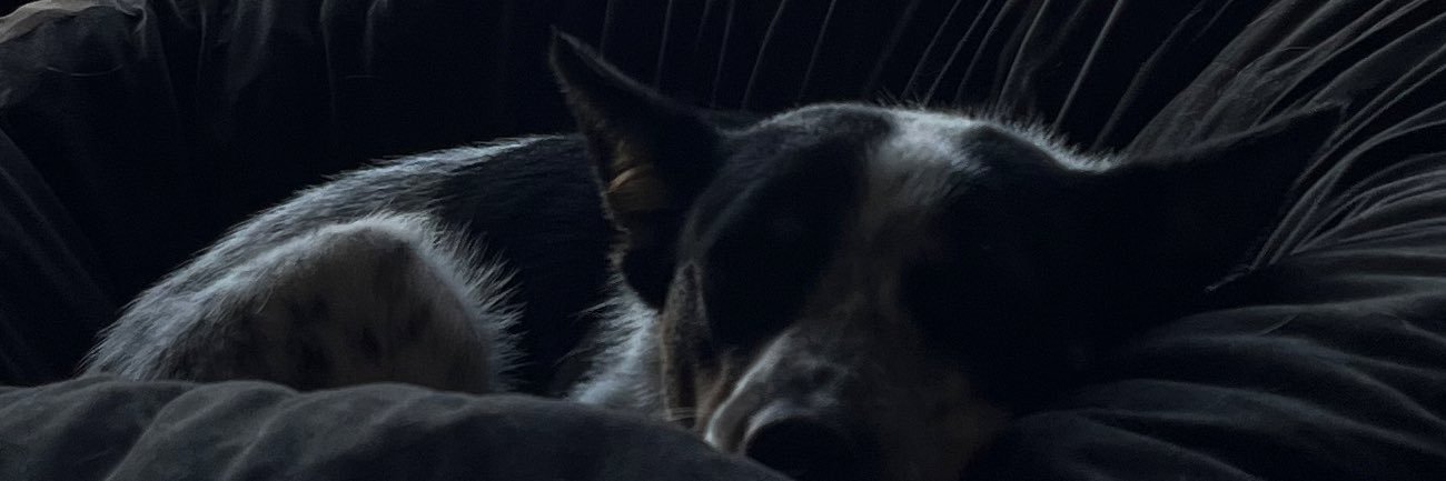 Nate banner