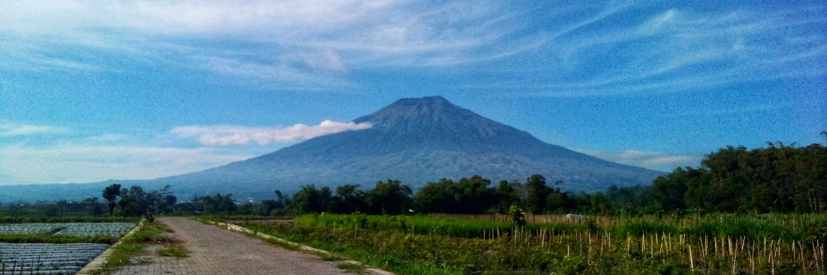 Brandal Senja banner