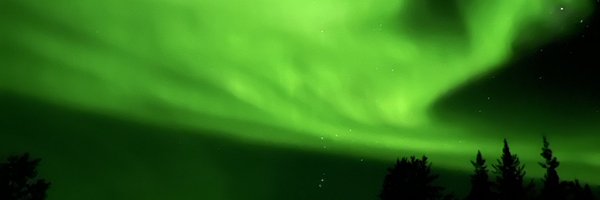 cospingu Profile Banner