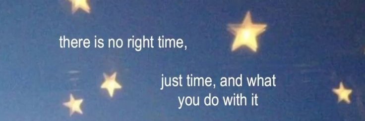 L.Shine☆ﾟ⁠.⁠*⁠･⁠｡ﾟ banner