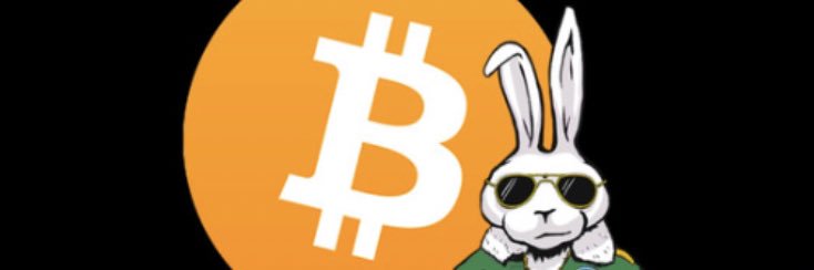 ⚡️Bitcoin Bunny 🥕 banner