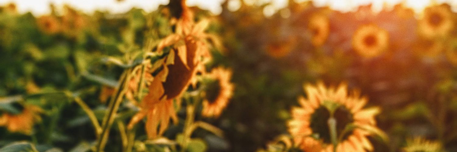 Ozhik's profile banner image
