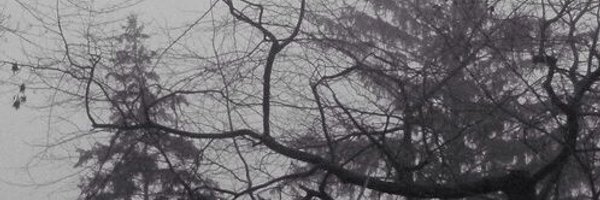 yodawgitsemily Profile Banner