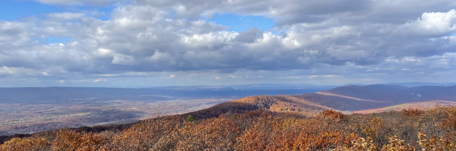 the combat wombat banner