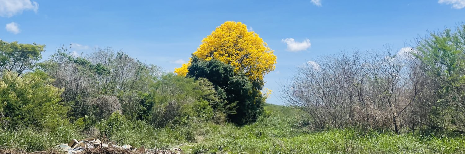 joaomeloinacio's profile banner image