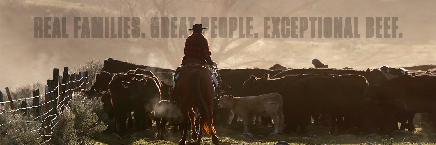 Agri Beef banner