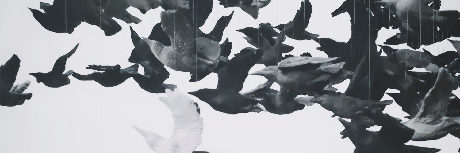sinnnndom's profile banner image