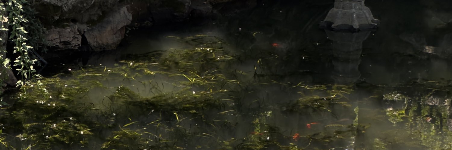 小楠 *✧･ﾟ: *✧･ﾟ☽☾ 🍉 banner