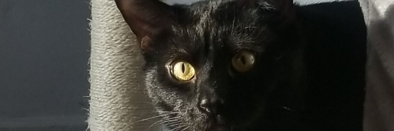 marriaasinger's profile banner image