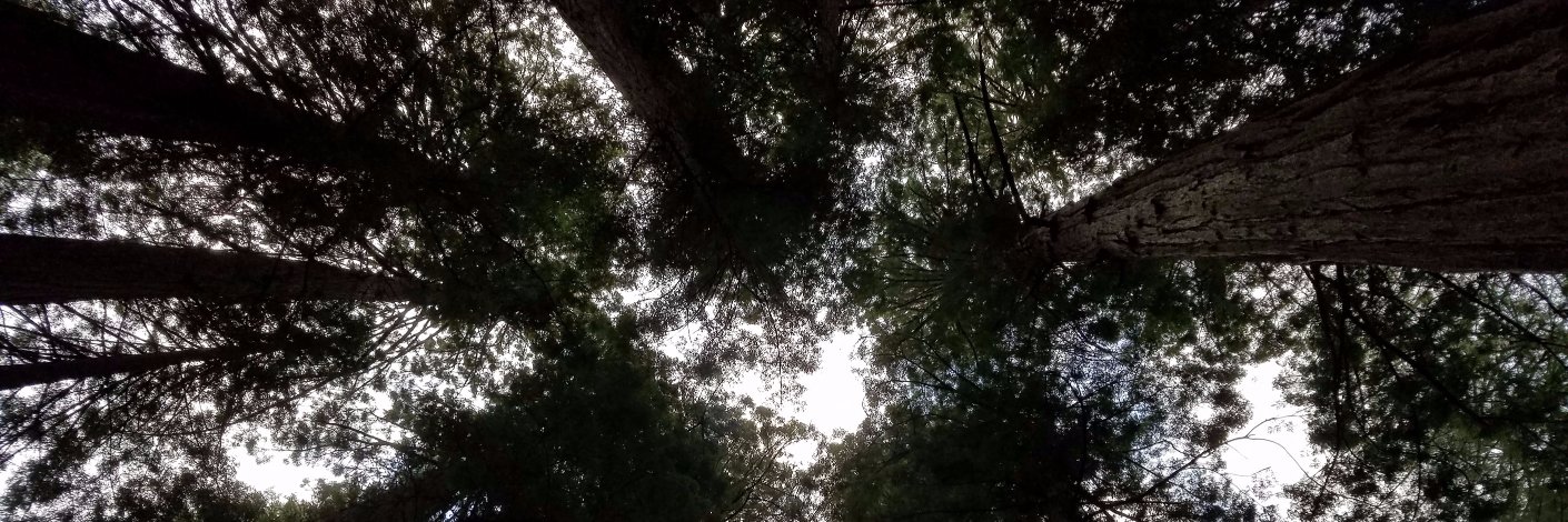 Johanna Alvarez banner