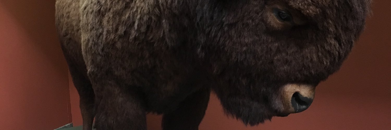 BfloBill64's profile banner image
