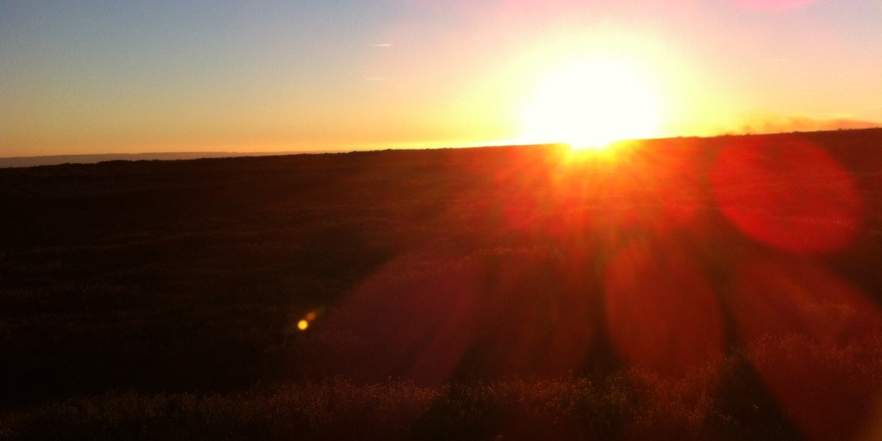 outontmoors's profile banner image