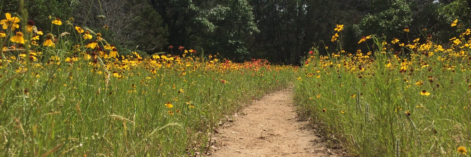Tejas Trails banner
