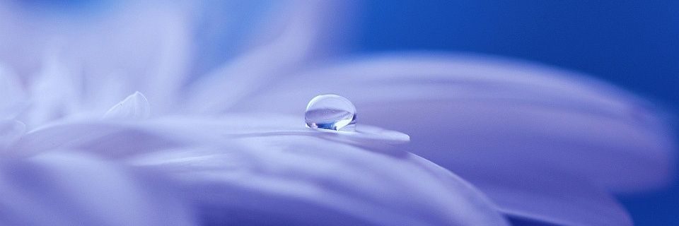 celialvarez's profile banner image