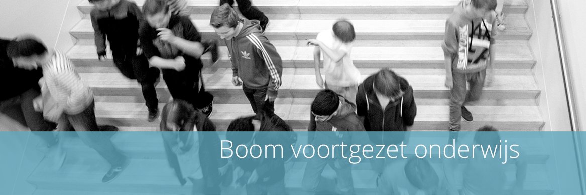 Boom_VO's profile banner image