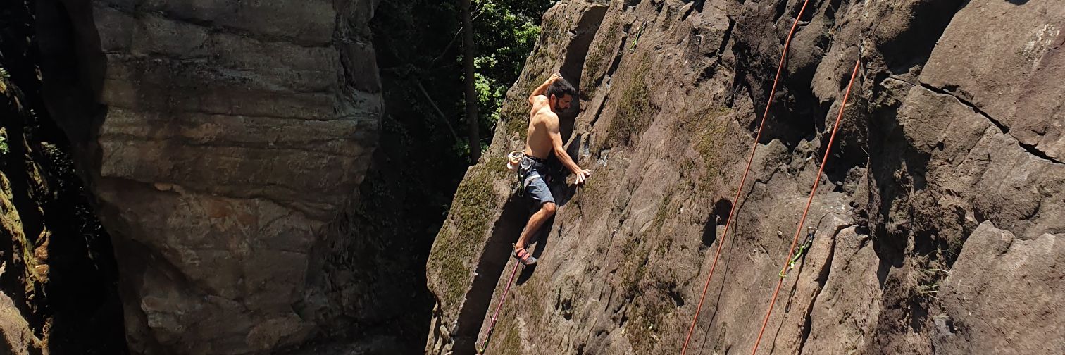 Andrea 🇺🇦 banner