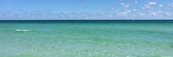 maggieLphillips Profile Banner