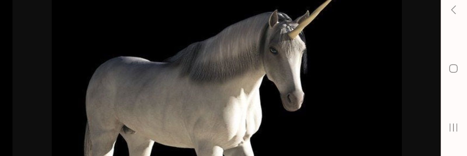 His Natural Highness banner