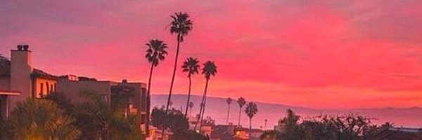 zlmbdk Profile Banner