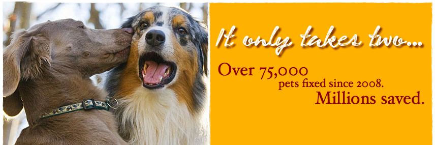 ALspayneuter's profile banner image