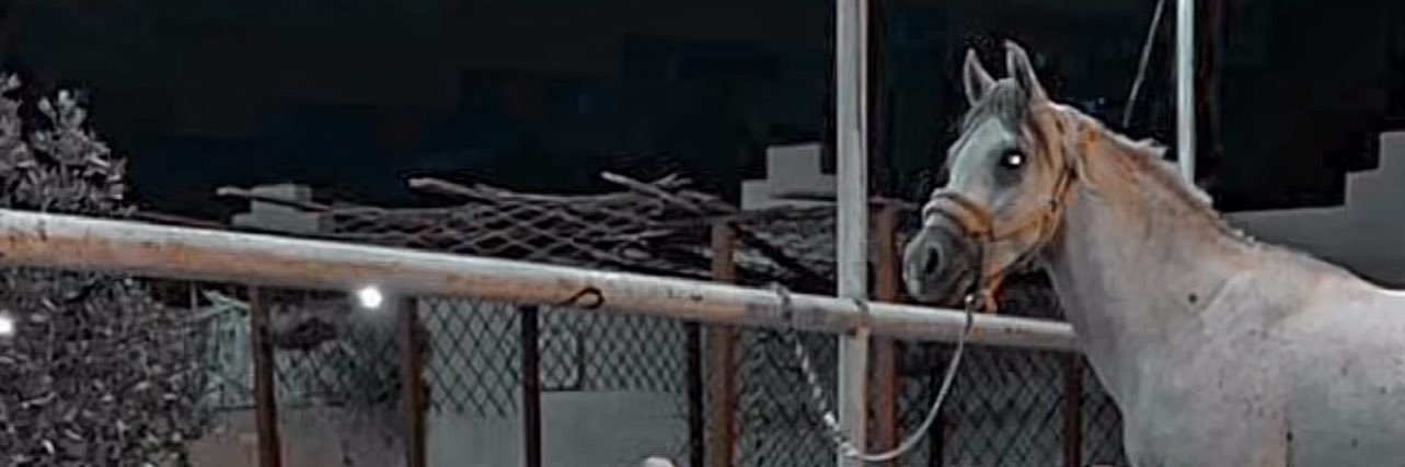 LS_552's profile banner image