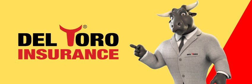 DelToroIns's profile banner image