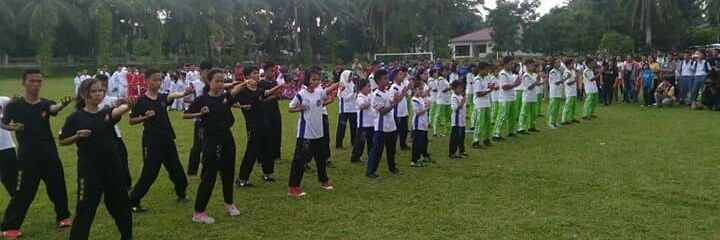 Wing Chun Alvary banner