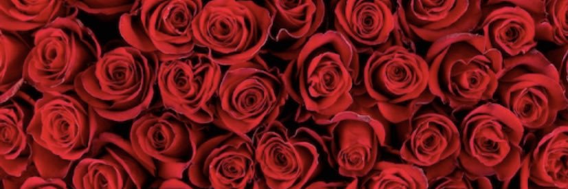 _Littlezee's profile banner image