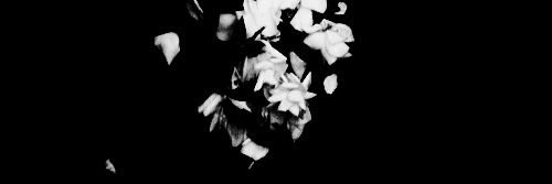 -. เปป banner
