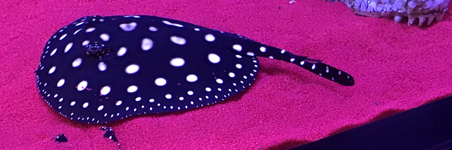 Sy2Mu's profile banner image