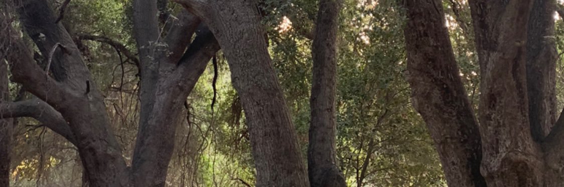 C4rolMurphy's profile banner image