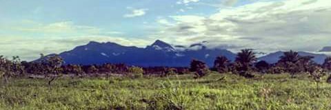 JuanValentinGamboa banner